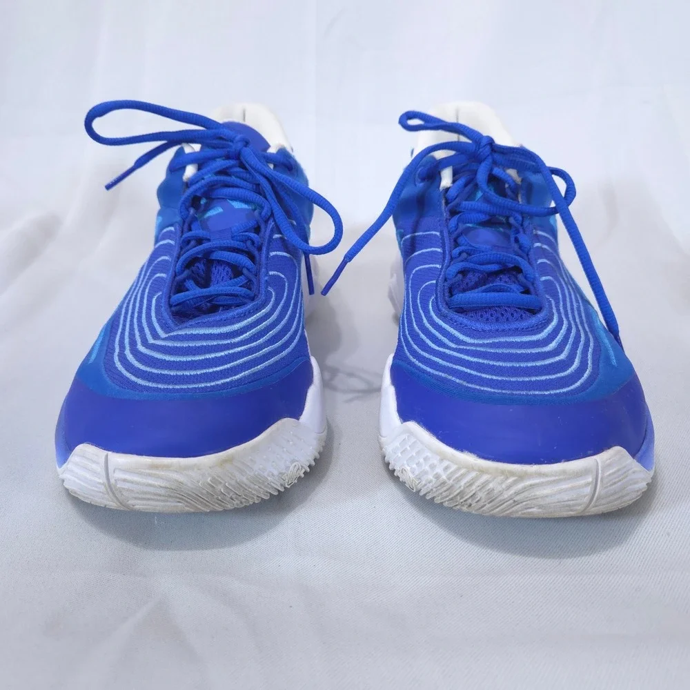 Nike Giannis Immortality 4 Mens 10 Racer Blue Low Top Basketball Shoes Training